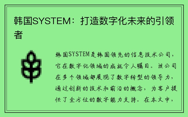 韩国SYSTEM：打造数字化未来的引领者