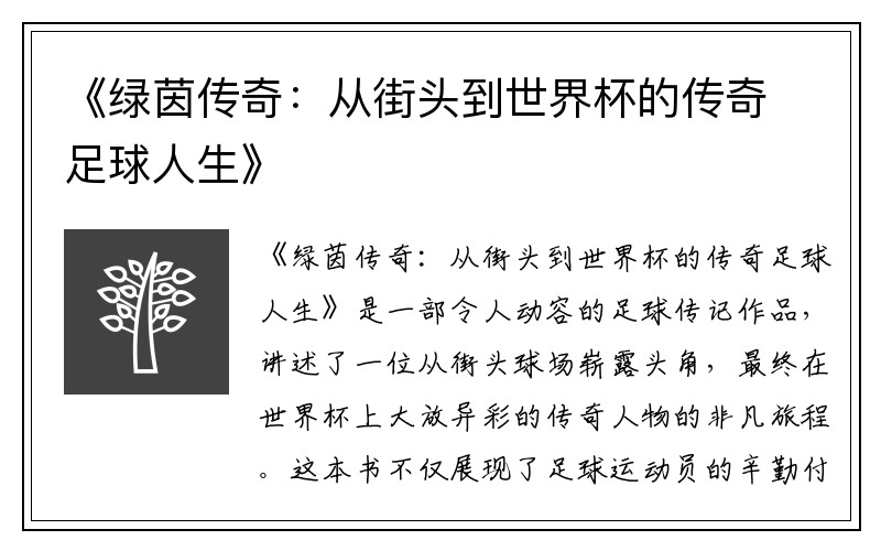 《绿茵传奇：从街头到世界杯的传奇足球人生》