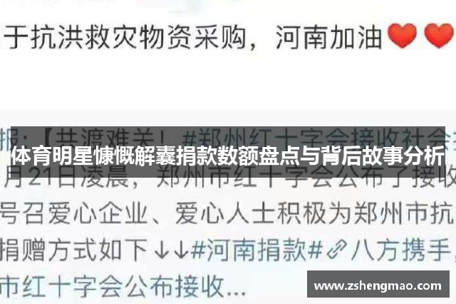 体育明星慷慨解囊捐款数额盘点与背后故事分析